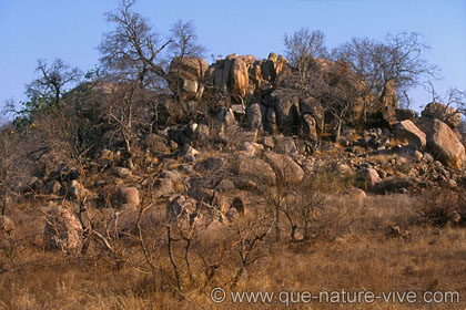 letaba's hill 2